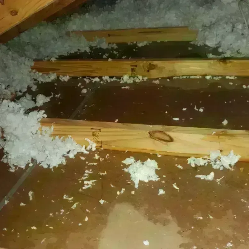 Attic Water Damage in Katy, TX