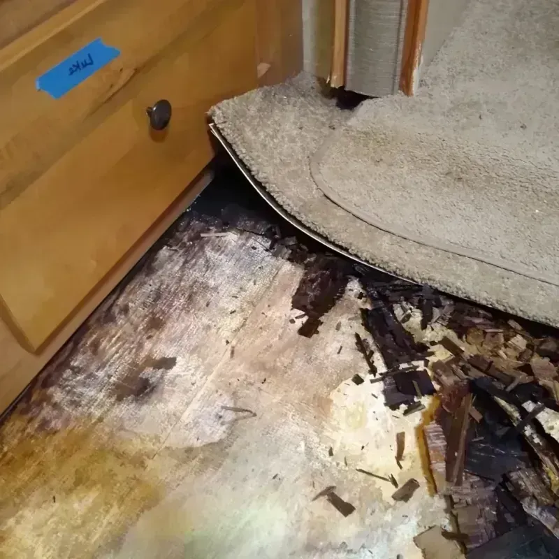 Wood Floor Water Damage in Katy, TX